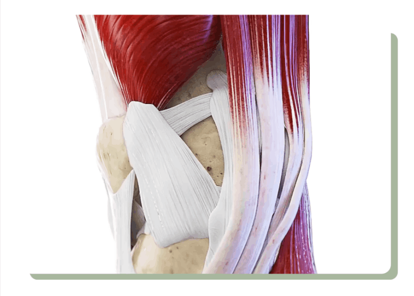 How to use Vita Knee Relieve